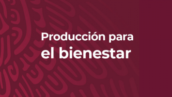 Acompañamiento Técnico