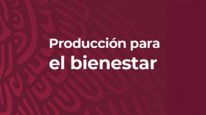 Acompañamiento Técnico